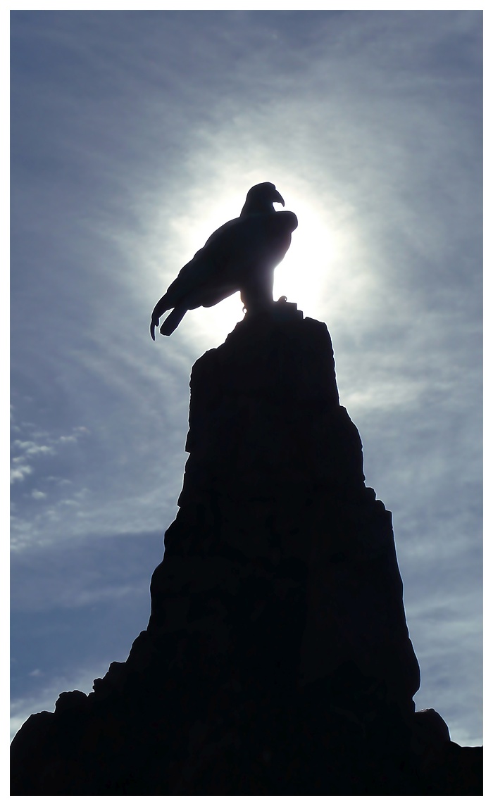 Das Fliegerdenkmal auf der Wasserkuppe in der Rhön bei Gegenlicht fotografiert.