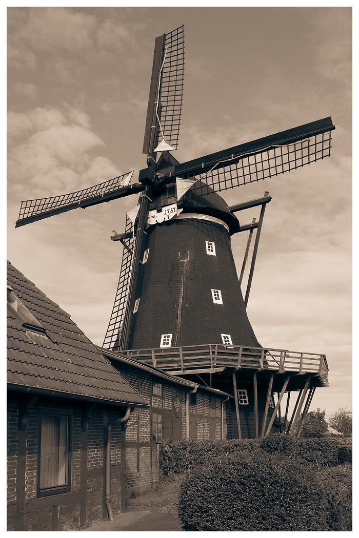 Blick auf die vier mächtigen Segel der Segelwindmühle in Lemkenhafen auf Fehmarn