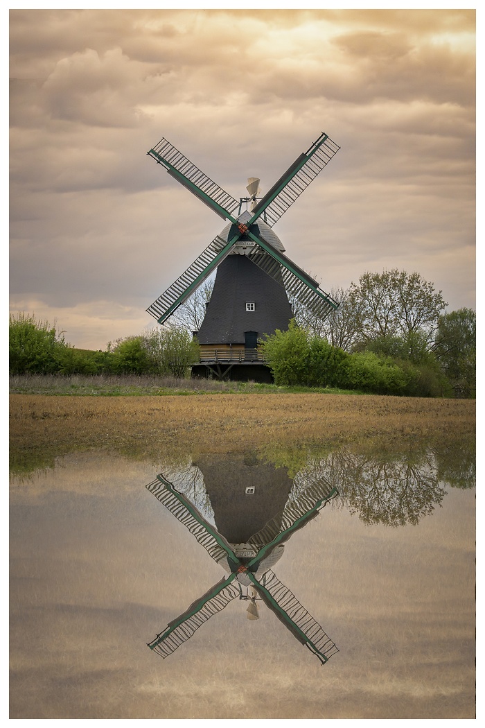 Blick auf die Langenrader Windmühle mit Spiegelung im Wasser