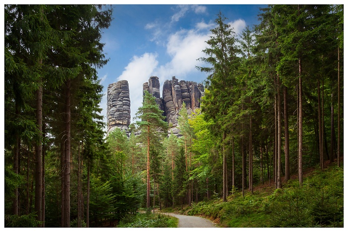 Blick durch den Wald auf wunderschöne Gesteinsformationen im Elbsandsteingebirge