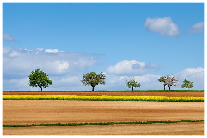 Auf dem Lande unterwegs in Richtung Renningen