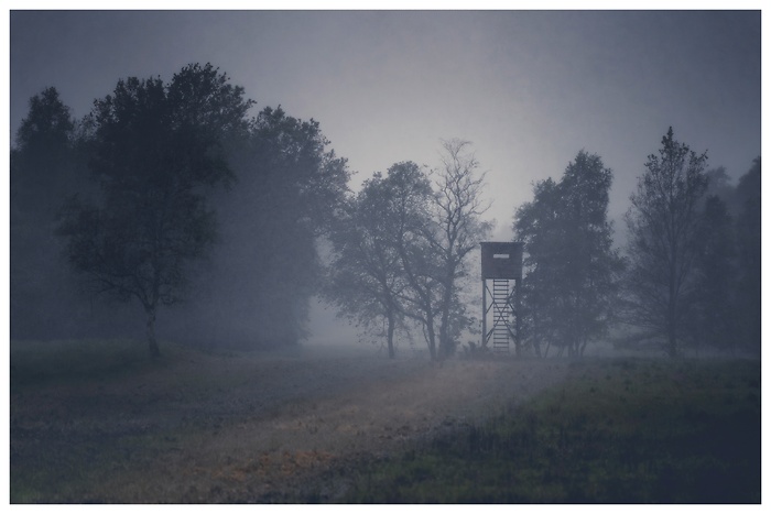 Blick über eine Wiese auf einen Jägerturm im nebligen Regen