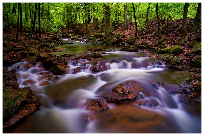 Blick auf einen wunderschönen Flussabschnitt der Ilsefälle abseits der Brücke im Wald