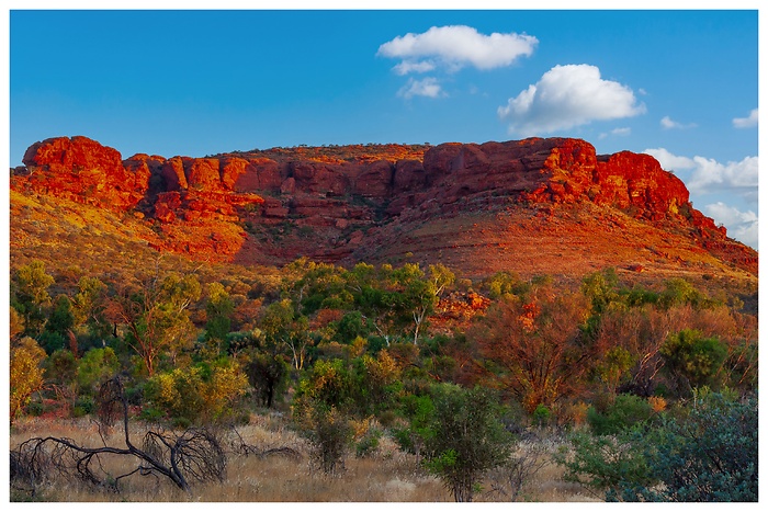 Blick auf die rot leuchtende Felswände des Kings Canyon