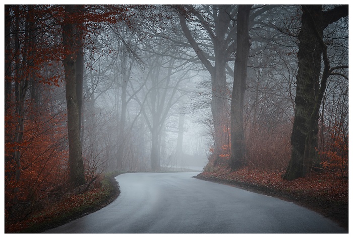 Eine Straße mit S-Kurve in nebliger Winterlandschaft