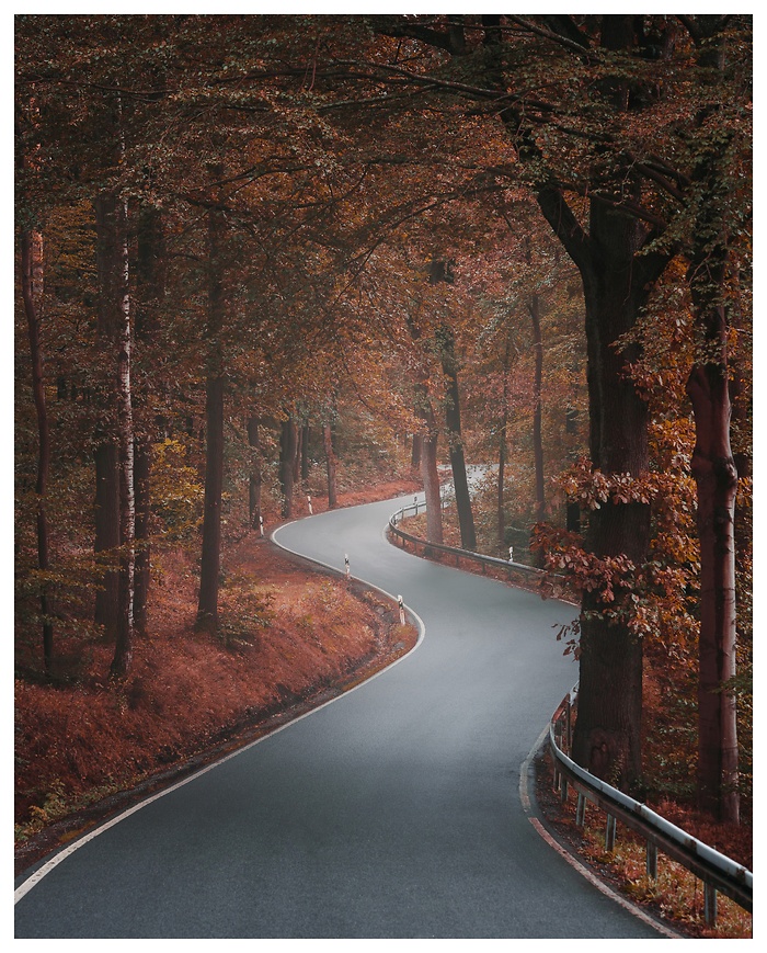 Blick auf eine S-Kurve inmitten vieler Herbstbäume