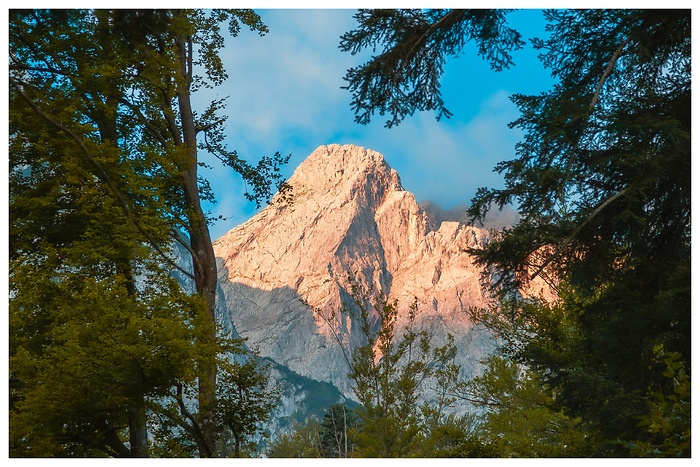 Blick zwischen den Bäumen auf den Berggipfel